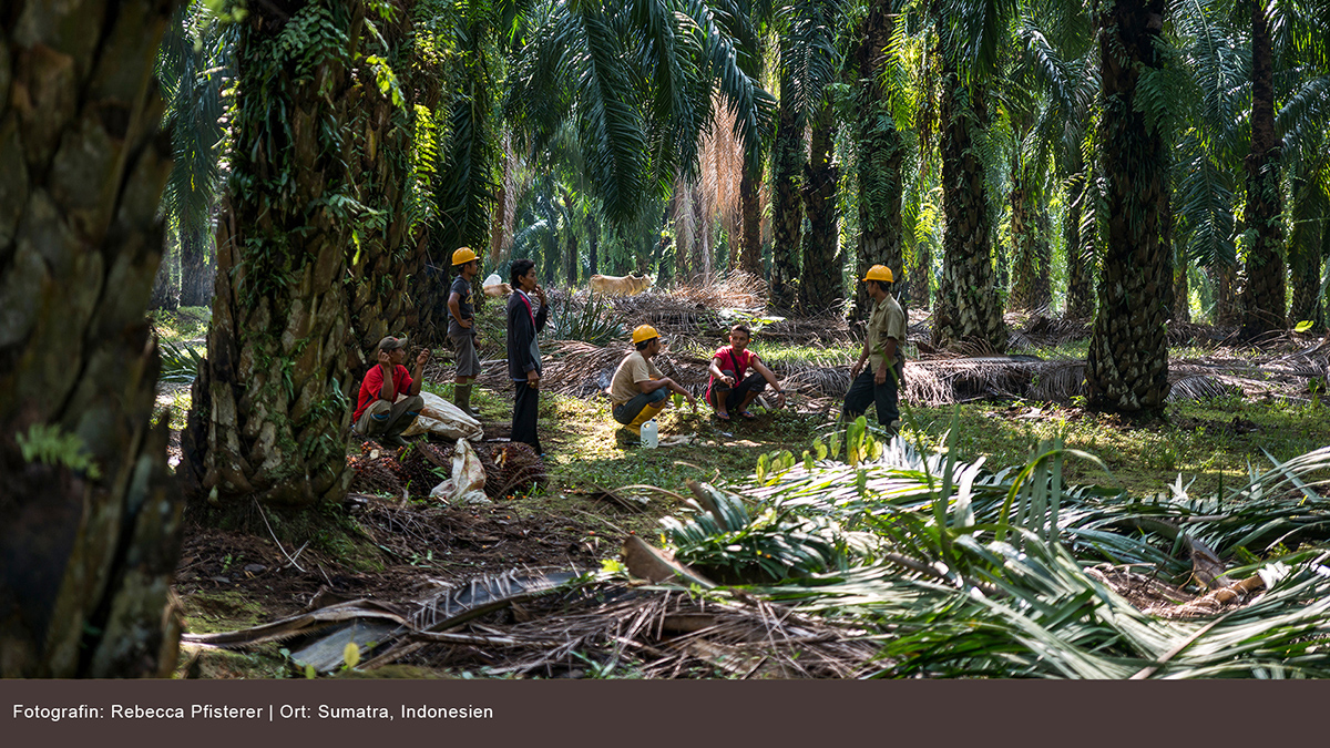 Sumatra, Indonesien